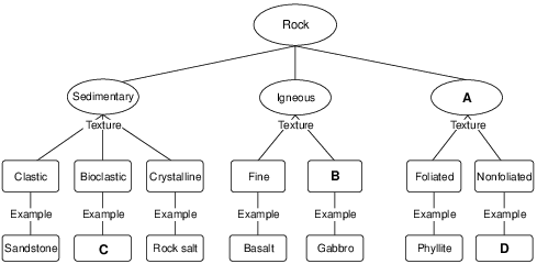 reference-tables, scheme-for-metamorphic-rock-identification, reference-tables, sedimentary-rock-identification, reference-tables, scheme-for-igneous-rock-identification, rocks-and-minerals, formation-classification-and-application-of-rocks, standard-1-math-and-science-inquery, changing-length-of-a-shadow-based-on-the-motion-of-the-sun, standard-6-interconnectedness, models fig: esci12018-examw_g56.png